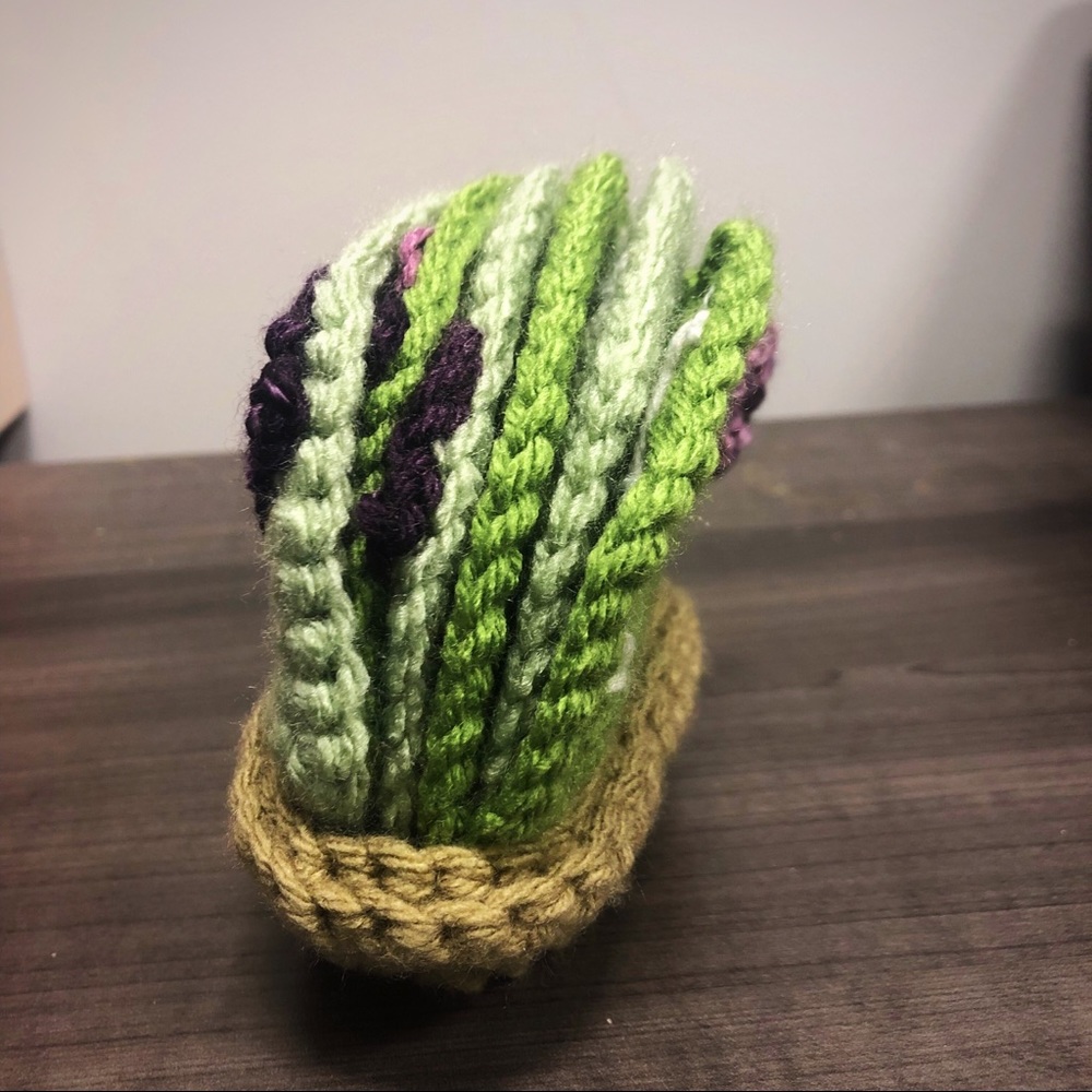Cacti 🌵Coaster Set 🧶 - Picture 3 of 5